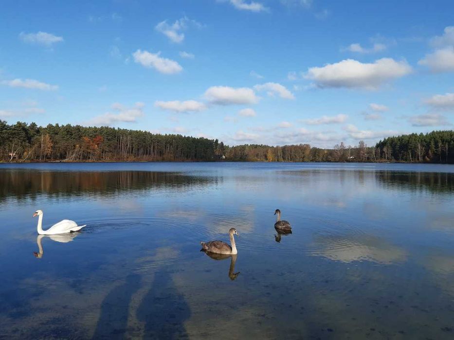 Komfortowy dom z kominkiem nad jeziorem, ryby, grzyby, SAUNA i BALIA