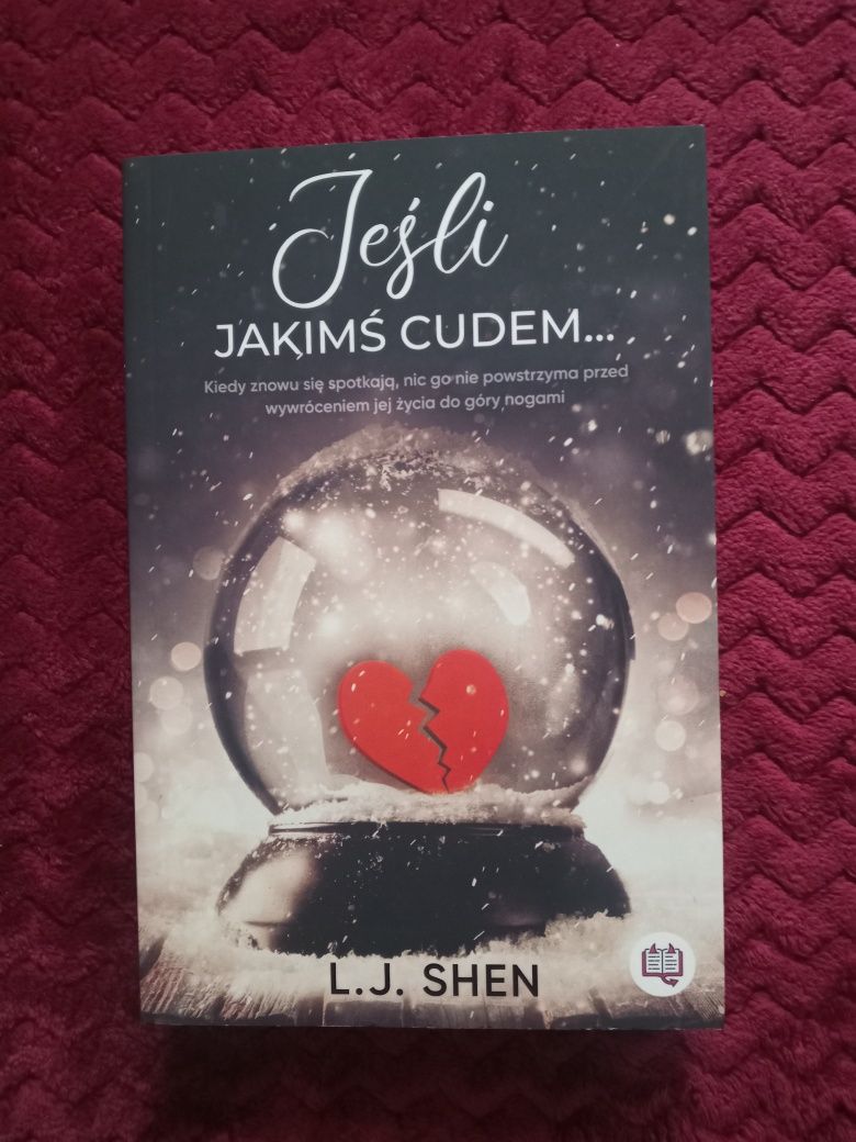 L.J. Shen Jeśli jakimś cudem...