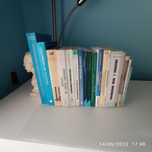 Livros de contabilidade
