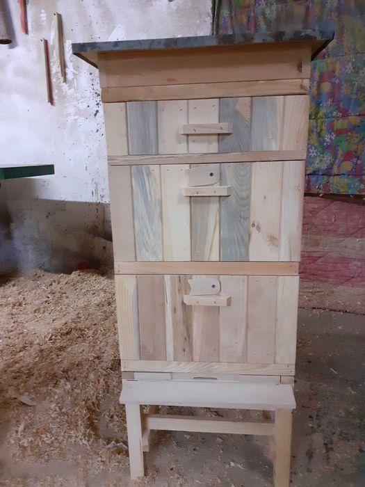 Ule Ostrowskiej, Wielkopolskie