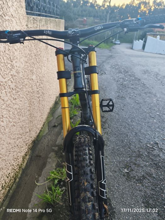 Bicicleta de Downhill