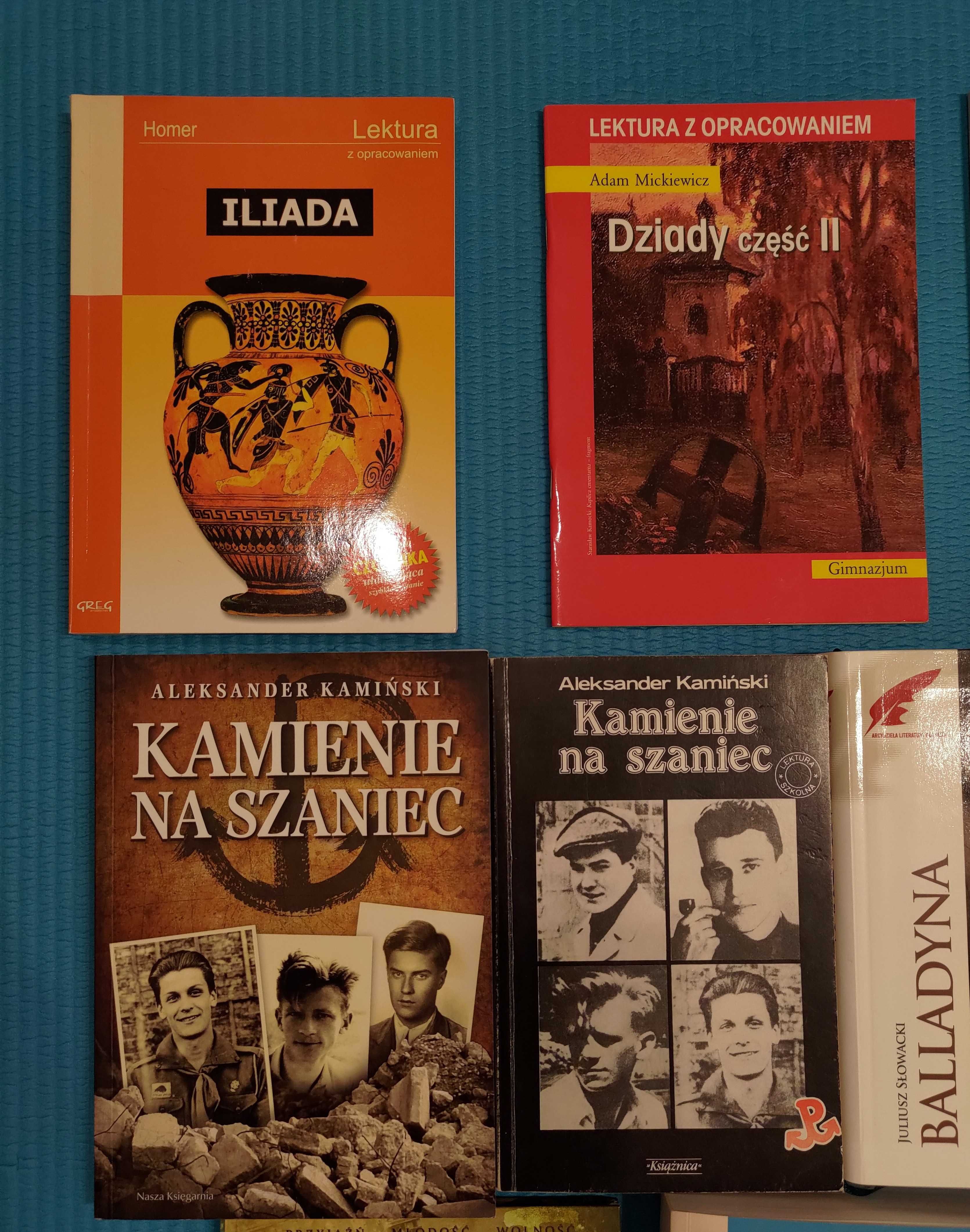Lektura książka Lalka Iliada K Edyp Kamienie na sz Balladyna P Tadeusz
