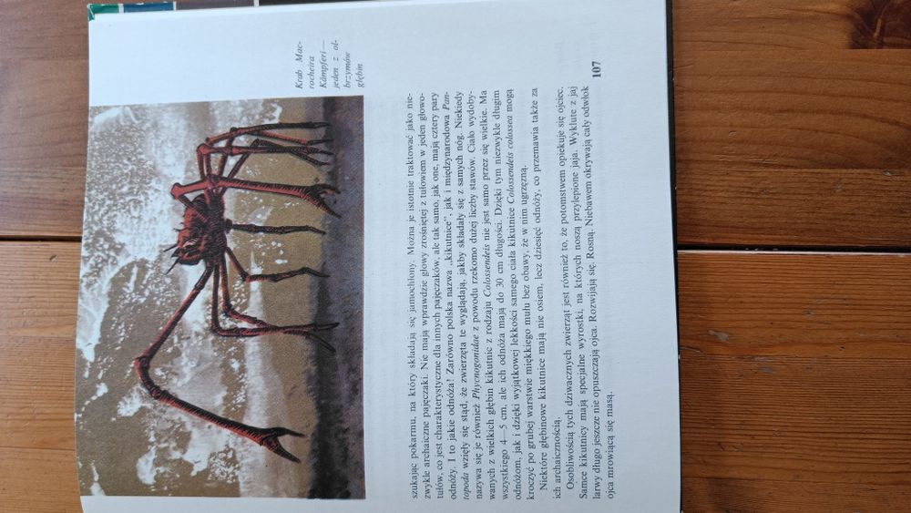 Książka W krainie wiecznej nocy