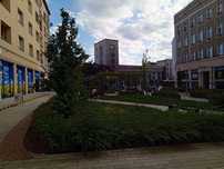 Wynajmę Mieszkanie Śląsk Bytom Centrum Rynek 165 zł/doba 1-2 Osób