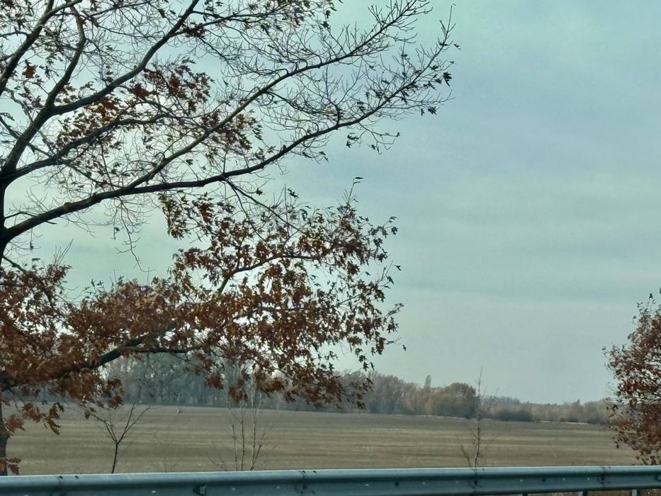 Земельна ділянка.Фасад ! 8га! с.Микуличі