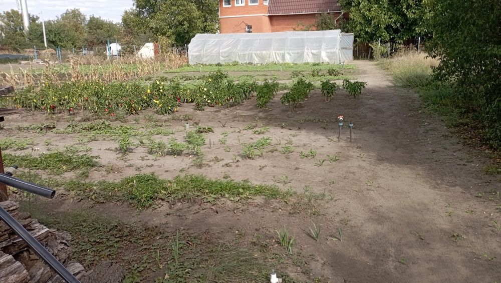 Продам дом/ Березановка/ Моторная/ левый берег