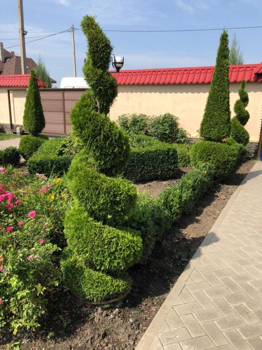 Послуги садівника, озеленення территорії