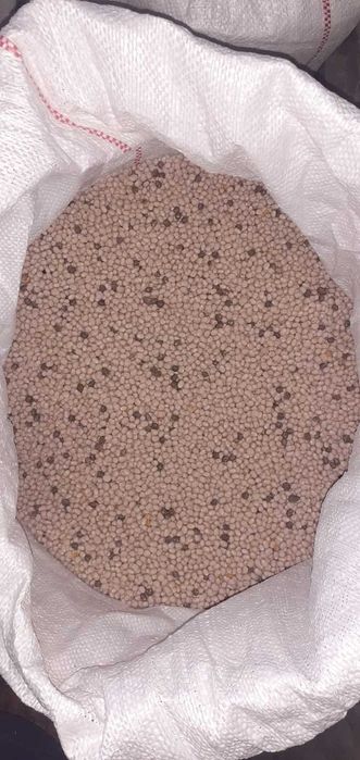 Pszenica, pszenżyto, żyto, łubin BORUTA