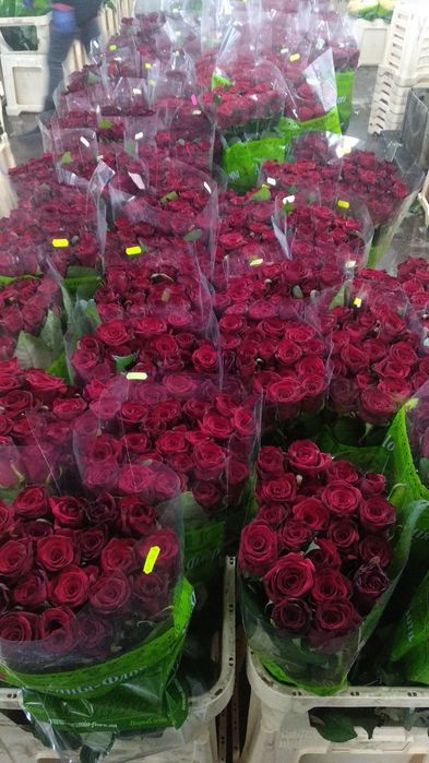 Тюльпан, роза, эустома оптом и розница.