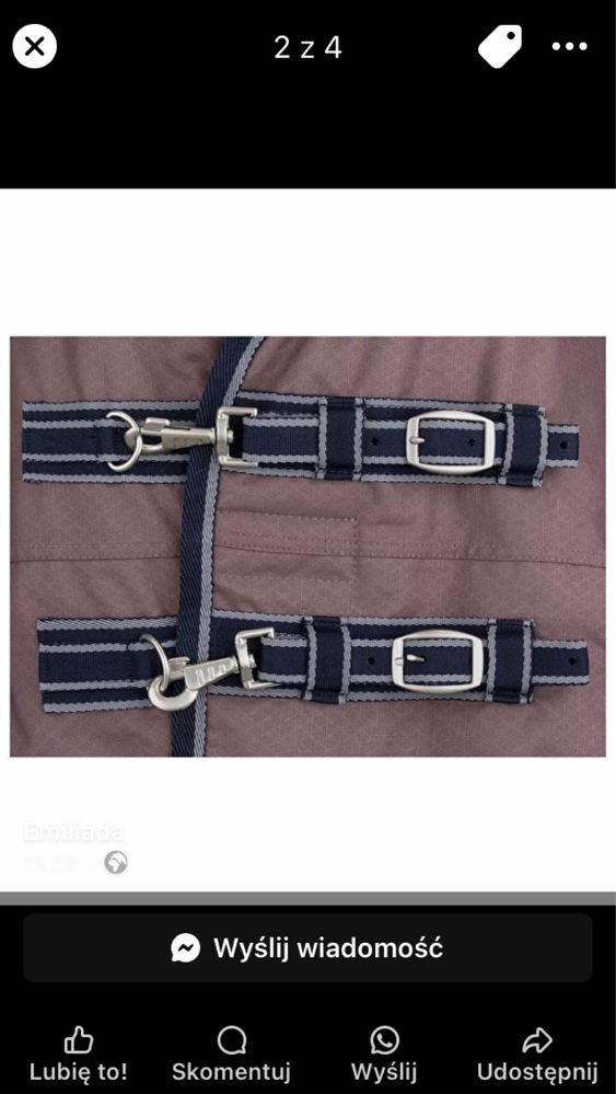 Derka dla konia thermo master Jesco II 100g rozmiar 115