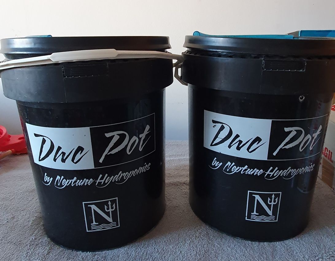 Hortipot 25L para Cultivo em Hidroponia com bombas de ar