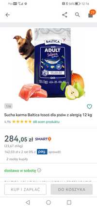 Baltica salmon 9,5kg