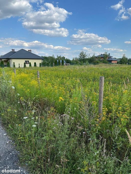 Działka budowlana Rokiciny-Kolonia