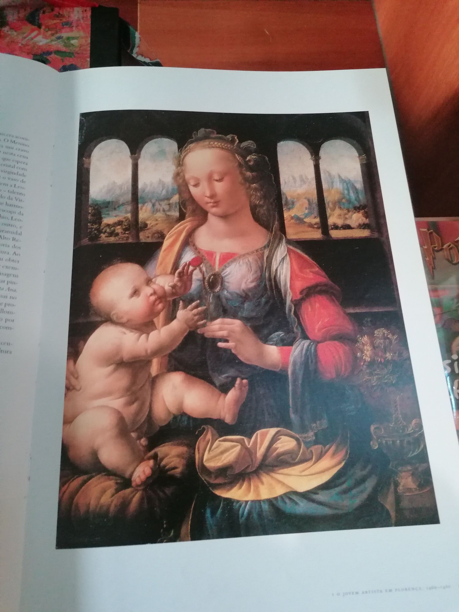 Leonardo da Vinci pintura completa