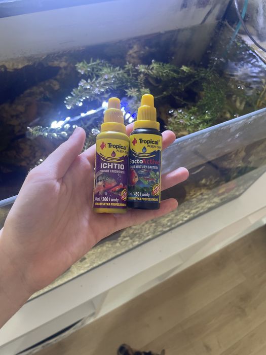 Ryby, Akwarium, Sprzęt, Sprzedam!