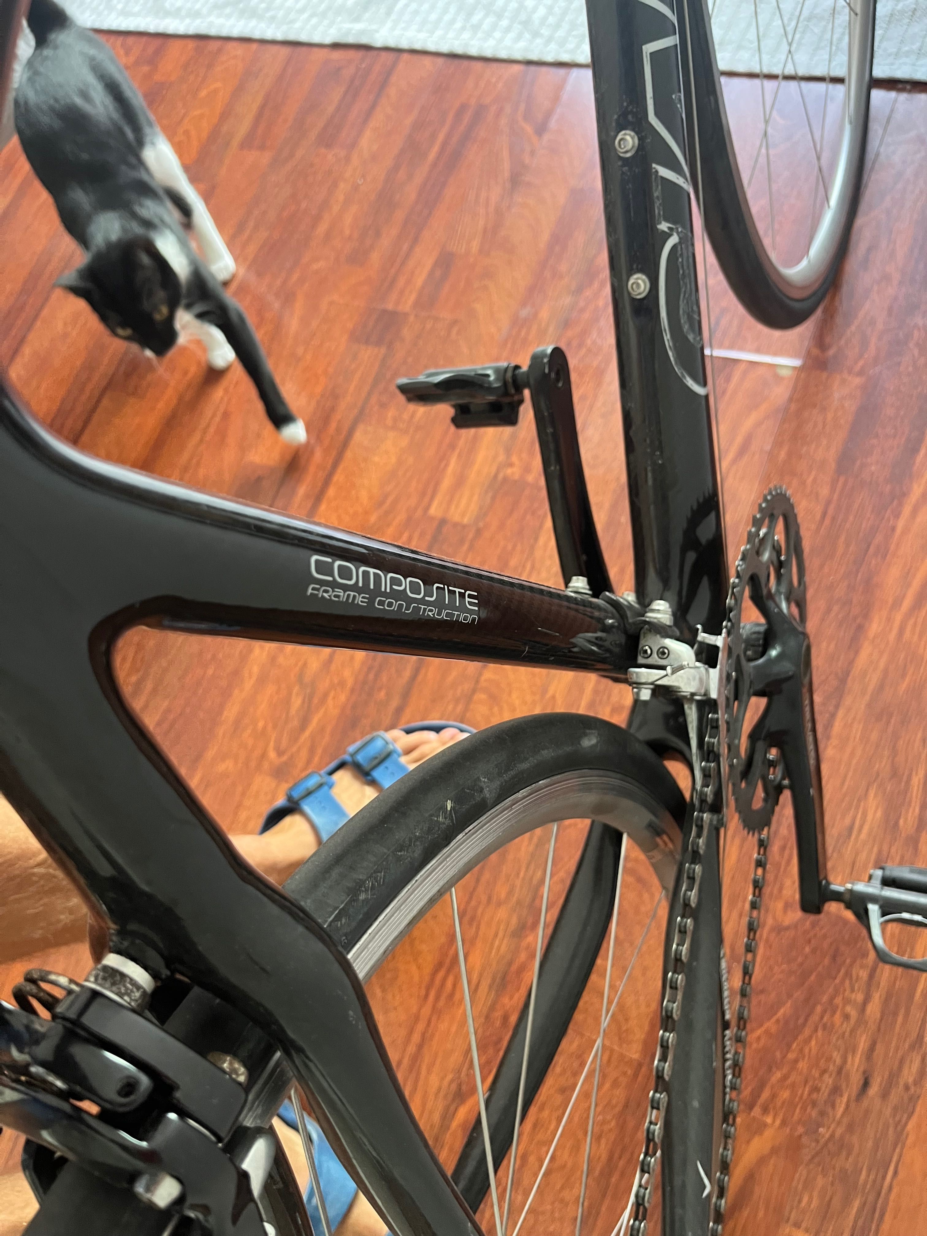 Giant Full Carbon roadbike, size L