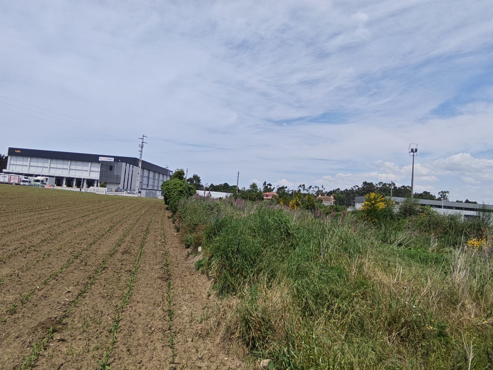 Arrendo Terreno serviços vedado Modivas