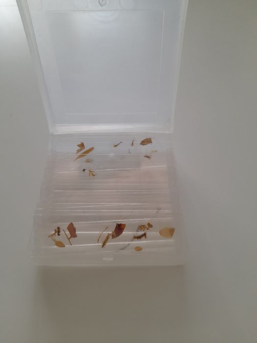 Mikroskop dziecięcy w walizce - bez akcesoriów