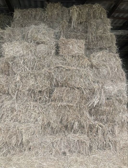 Продам тюки сіна