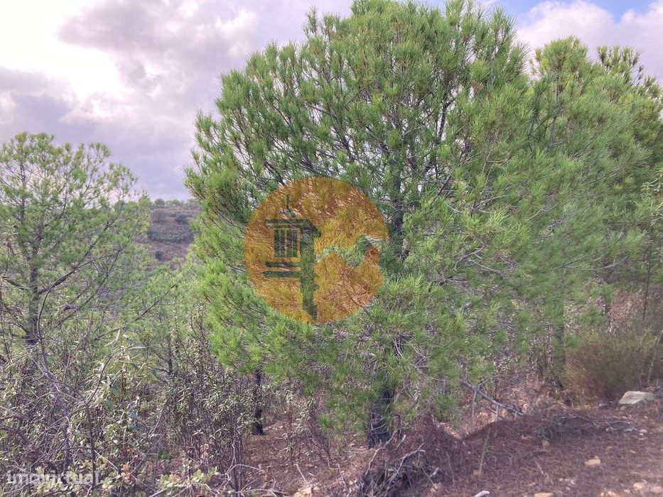 Terreno Com 67.520 M2 - Com Possibilidade De Construção - Turismo O...