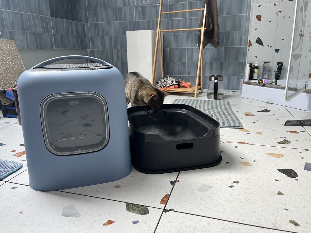 Rotho myPet kuweta niebieska