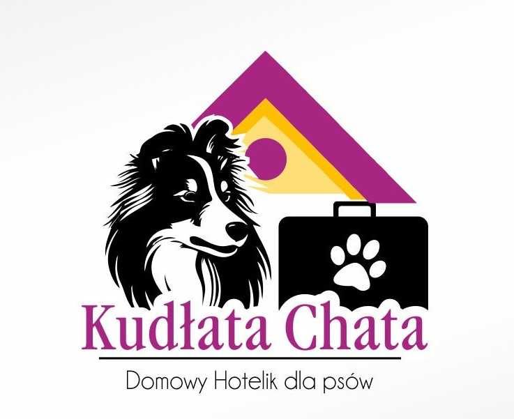 Domowy hotel dla psów WOLNE TERMINY!