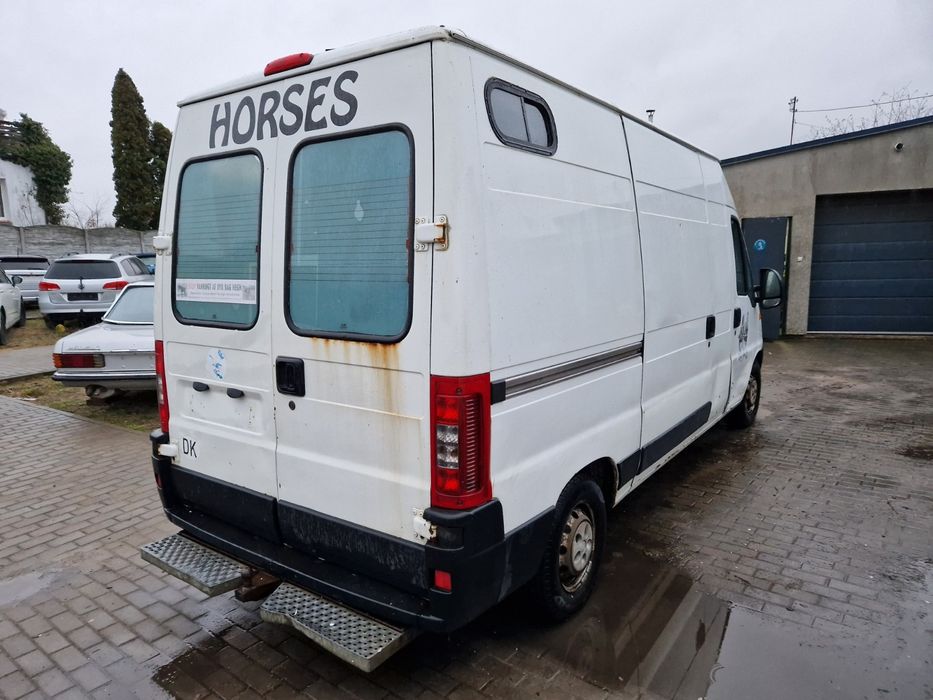 Koniowóz peugeot boxer