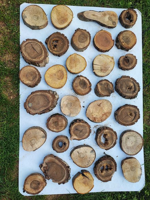 Plasterki orzech włoski, jabłoń, śliwa