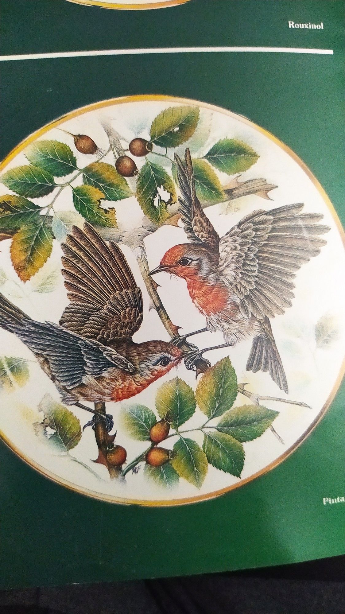 Coleção de pratos " Aves Cantoras" 24 cm.