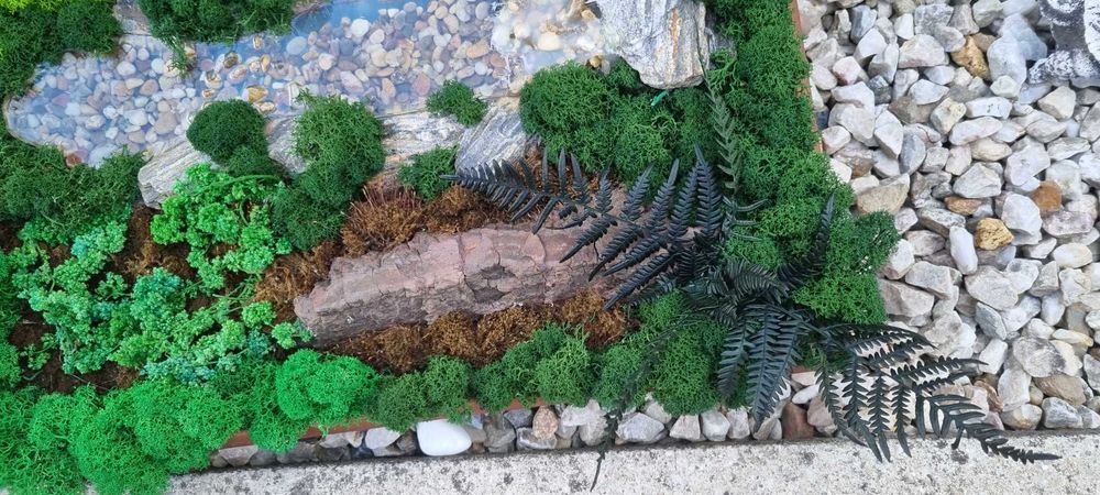 Obraz żywy . Mech chrobotek.  47 x36 w drewnianej ramie