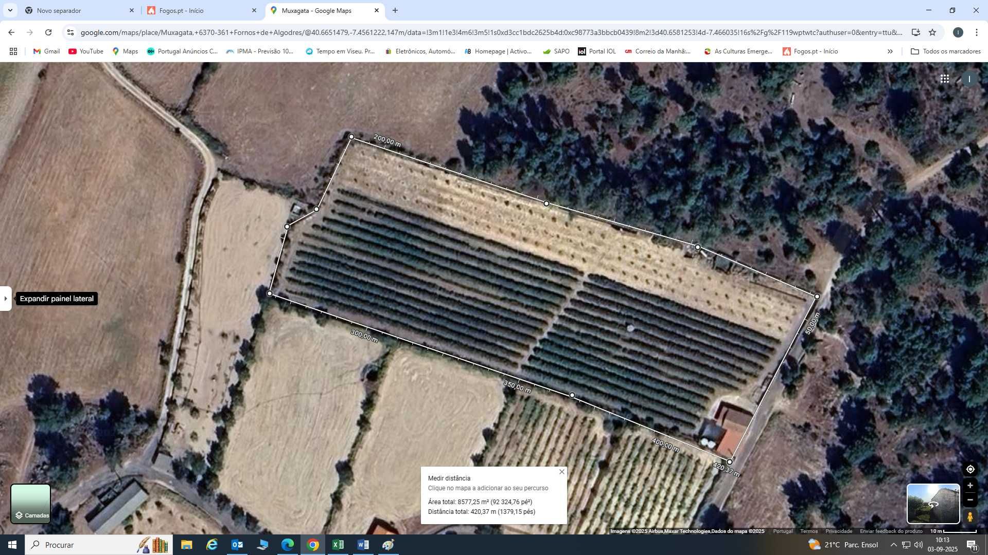 Quinta com mirtilos e oliveiras