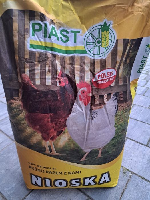 Pasza dla kur niosek, kura, Piast