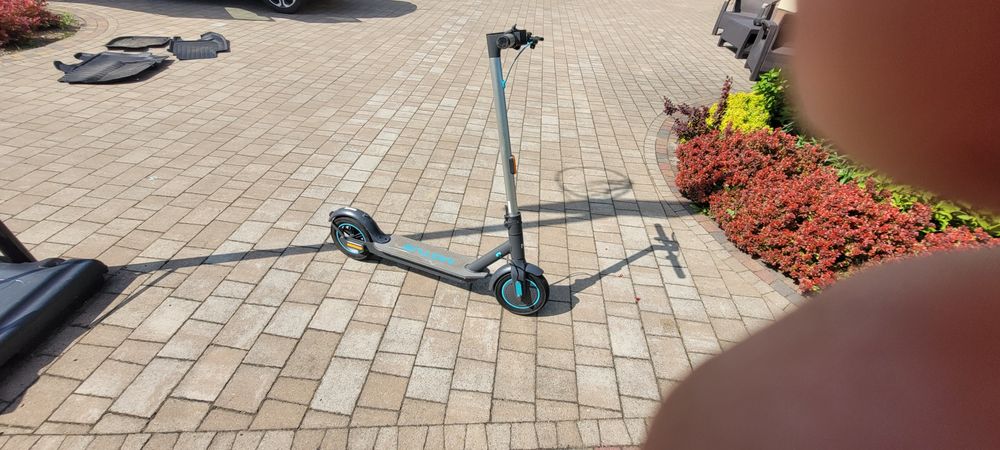 Hulajnoga firmy Motus