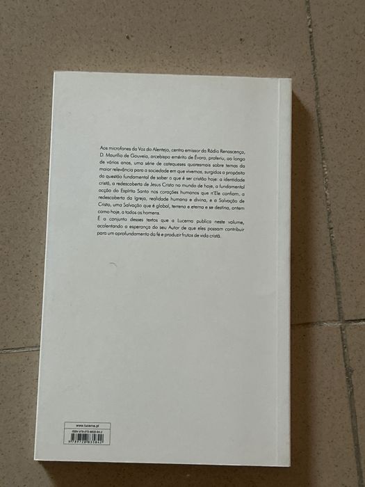 Livro Ser Cristão Hoje