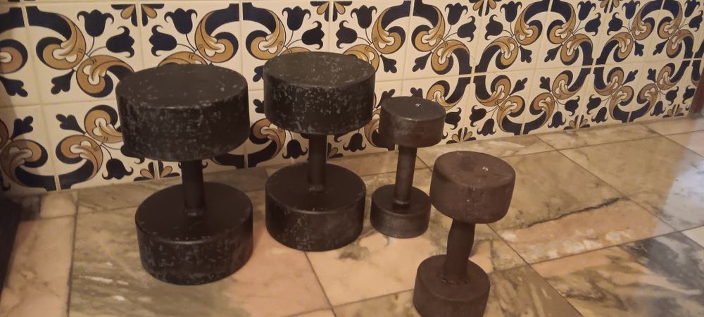 Alteres - Pesos 5 e 20 kg