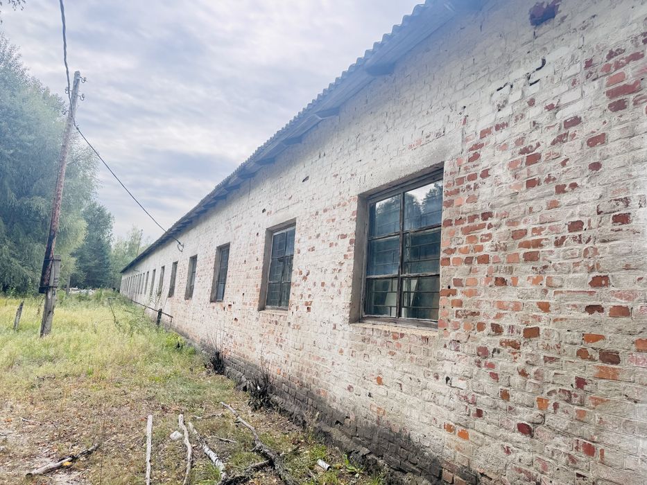 Здам склад/виробництво в Житомирській обл (Малин)