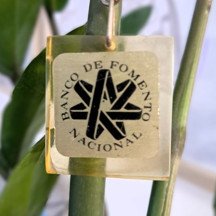 Porta-chaves acrílico Banco Fomento Nacional