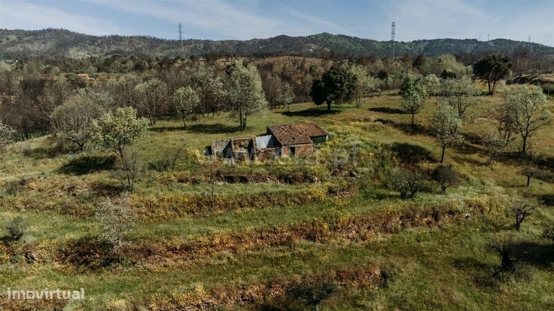 Terreno Rústico / Fundão, Pêro Viseu