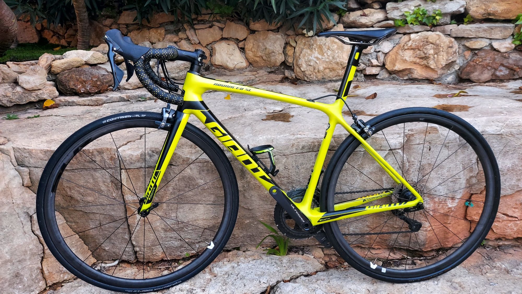 Giant TCR SL t52