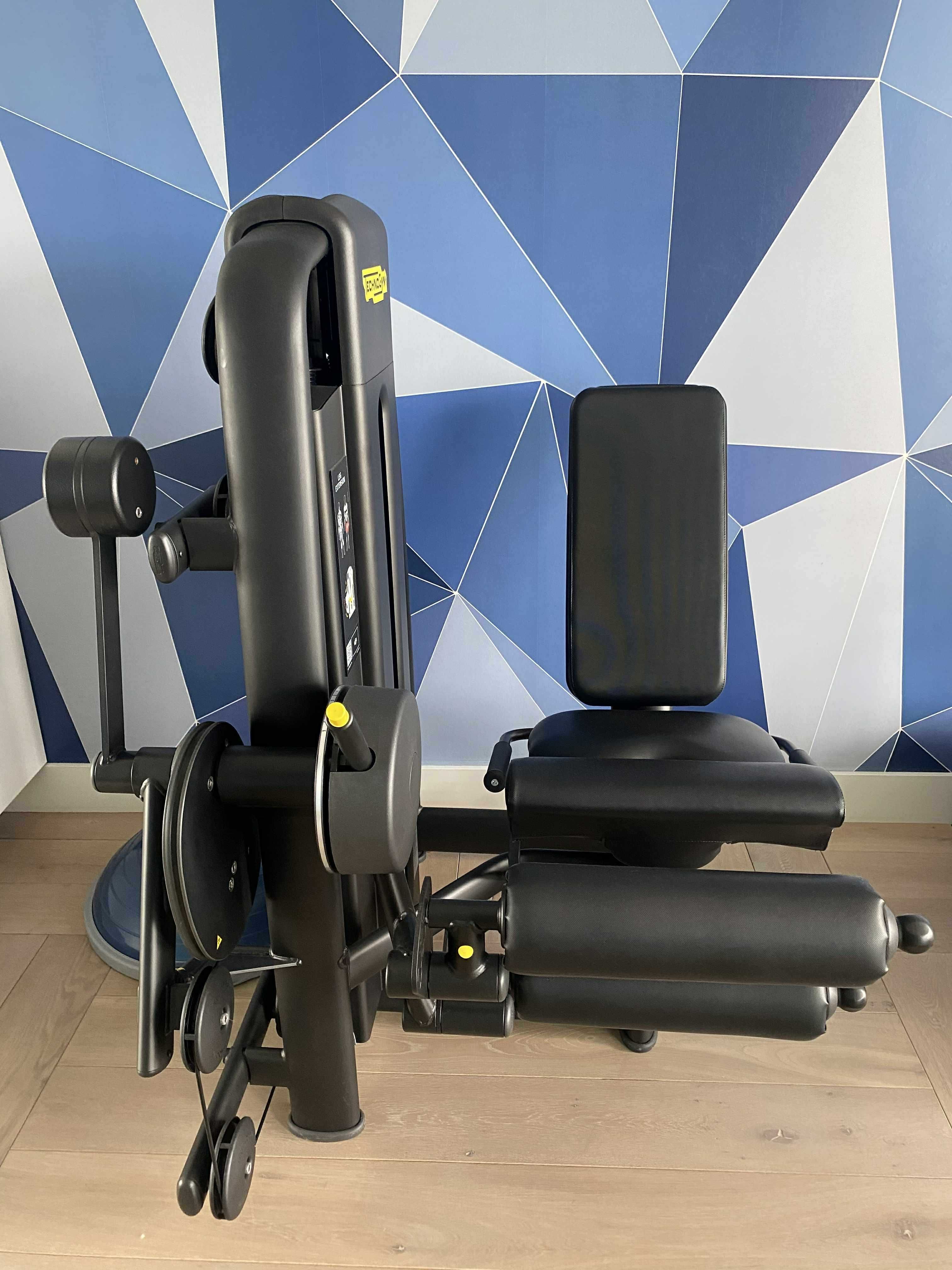 Maszyna do ćwiczeń Technogym DUAL LEG EXT/CURL