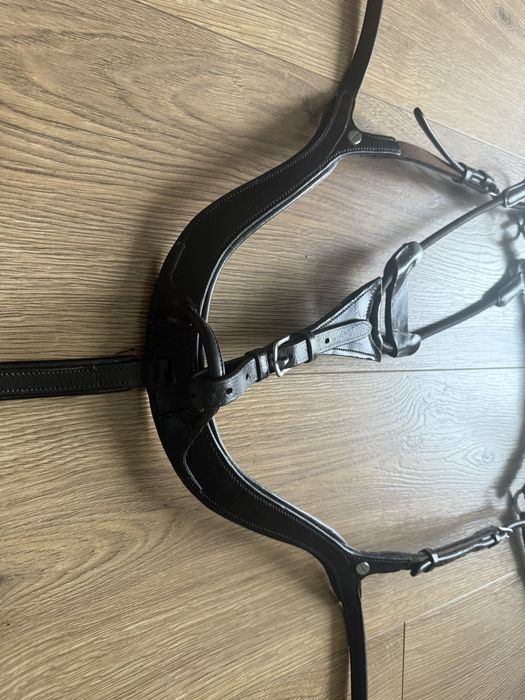 napiersnik 5 punktowy kavalkade