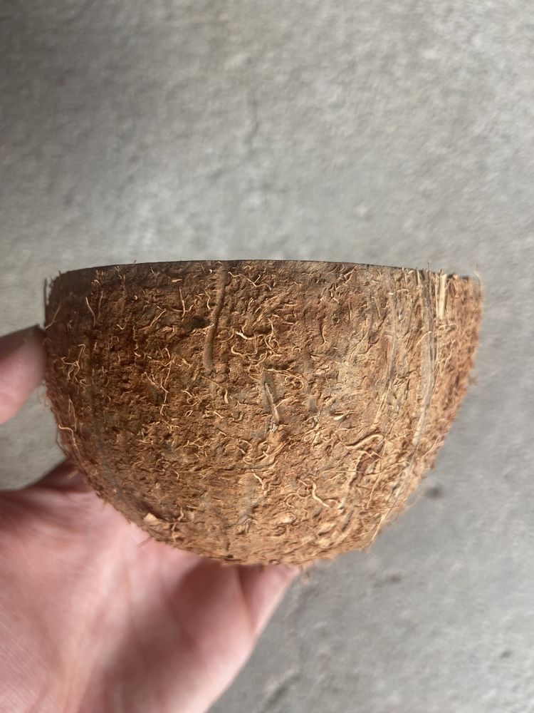 Vendo 300 metades de casca de artesanato