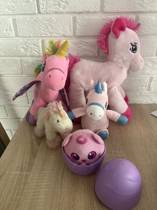 Jedrożce pluszaki i zabawki