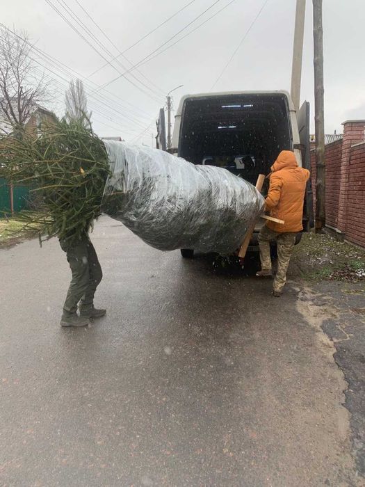 Перевезення вантажів, по Києву області та по всій Україні Вантажники