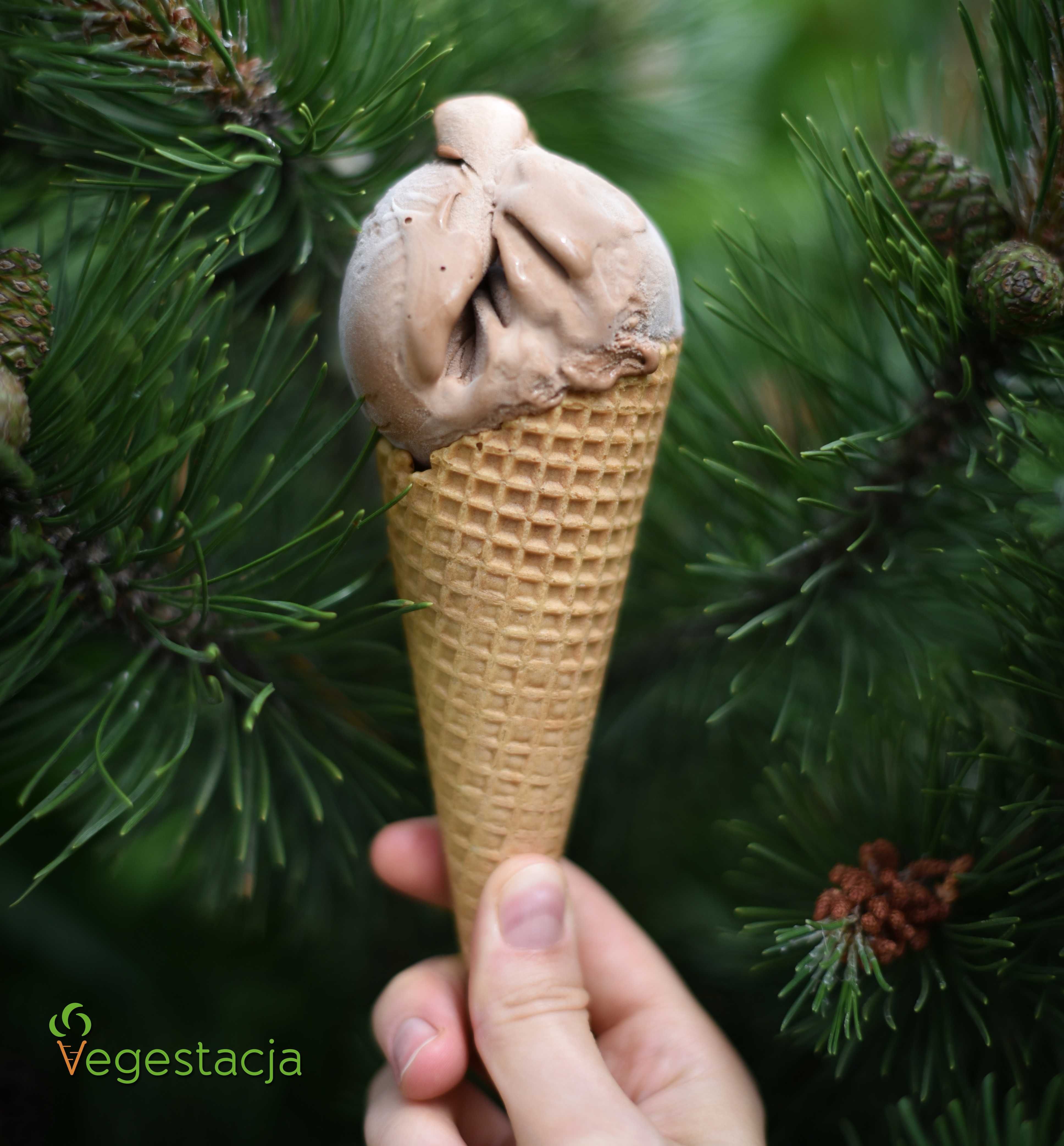 Wegańskie Lody rzemieślnicze - producent. Sprzedaż lodów, franczyzy.