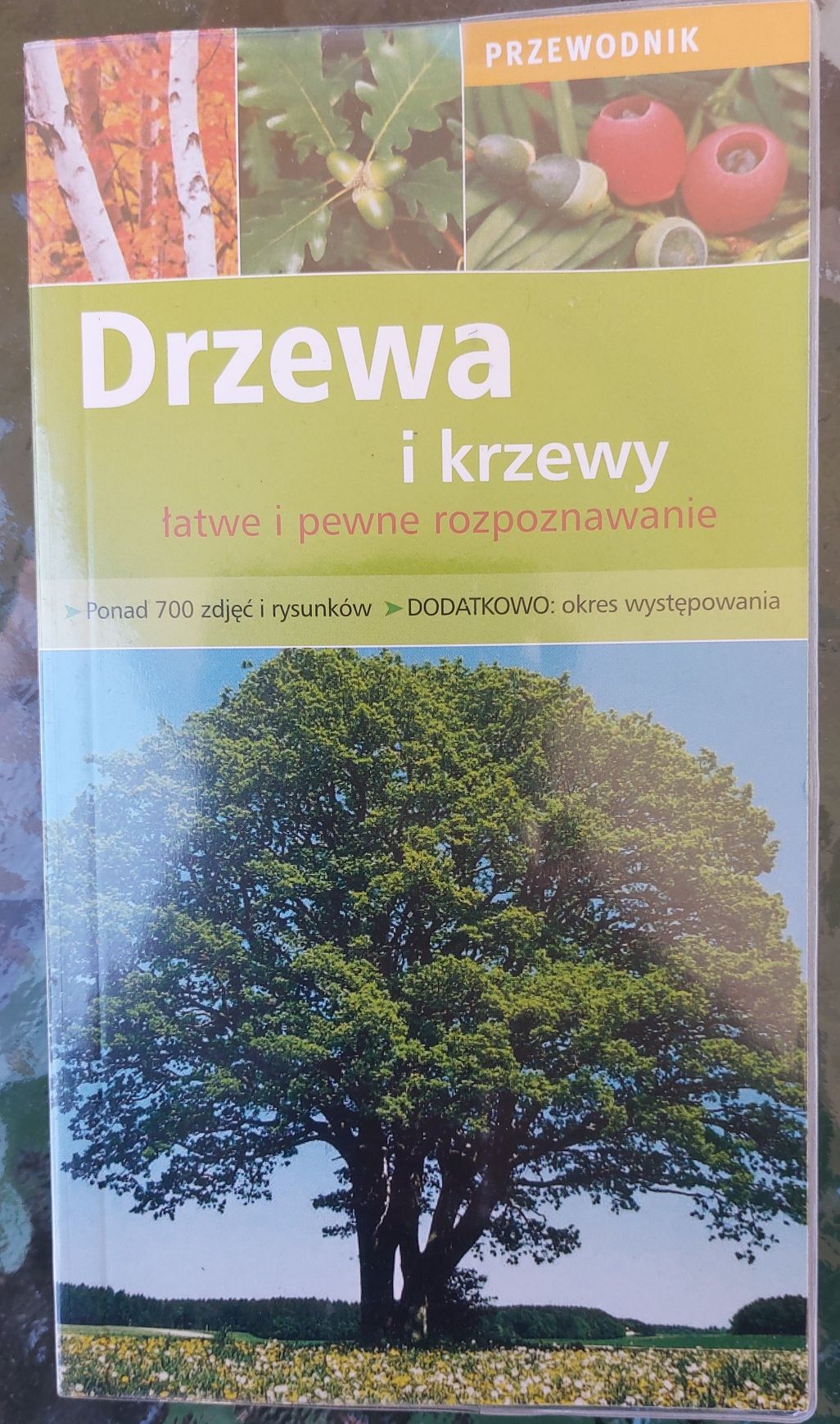 Drzewa i krzewy. Przewodnik.