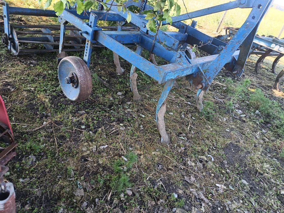 wyka jara facelia mieszanka gorzowska