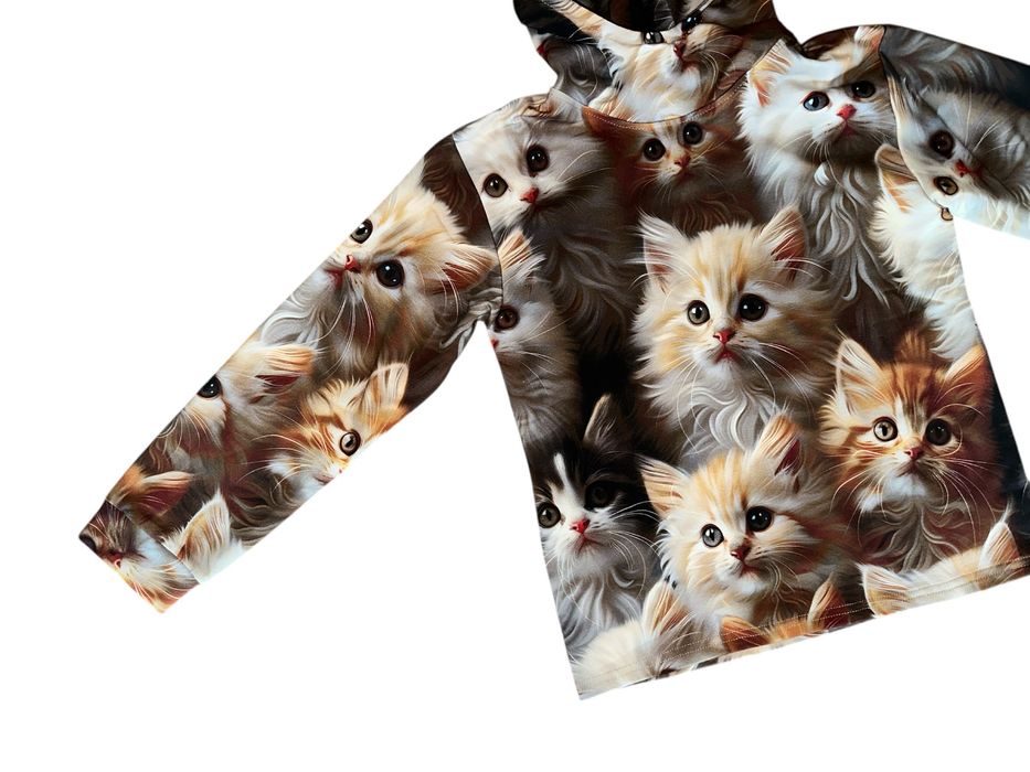 Bluza dziecięca kot koty maine coon 146