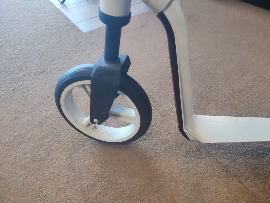 Tronite criança nova