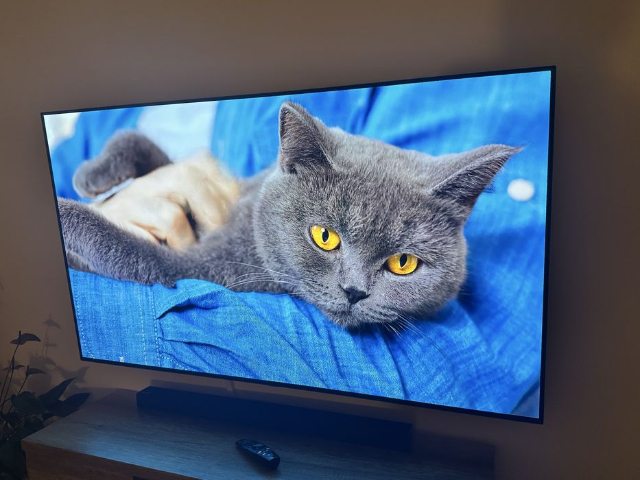 TV LG OLED 65" 4K 100Hz OLED65BX3LB bez wypaleń